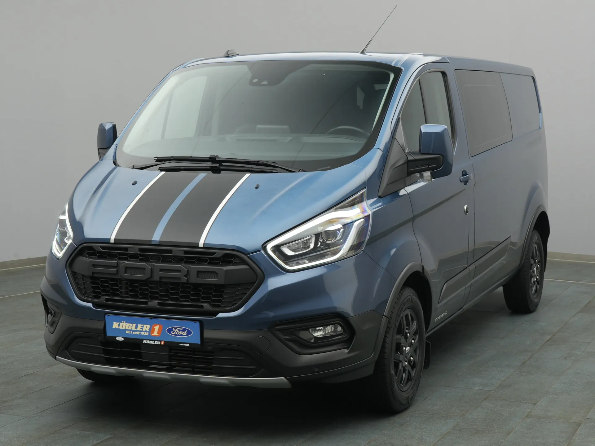 Ford Transit Custom Kasten in blau