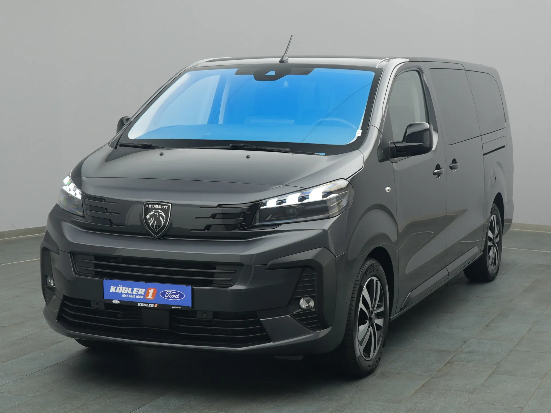 Peugeot Traveller in grau