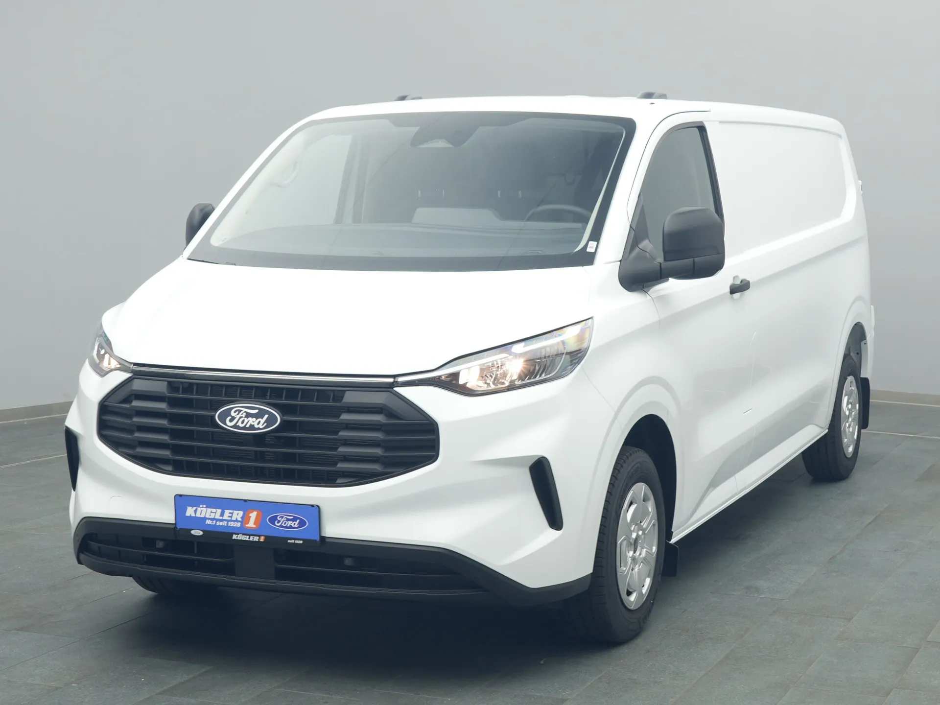 Ford Transit Custom Kasten in weiss